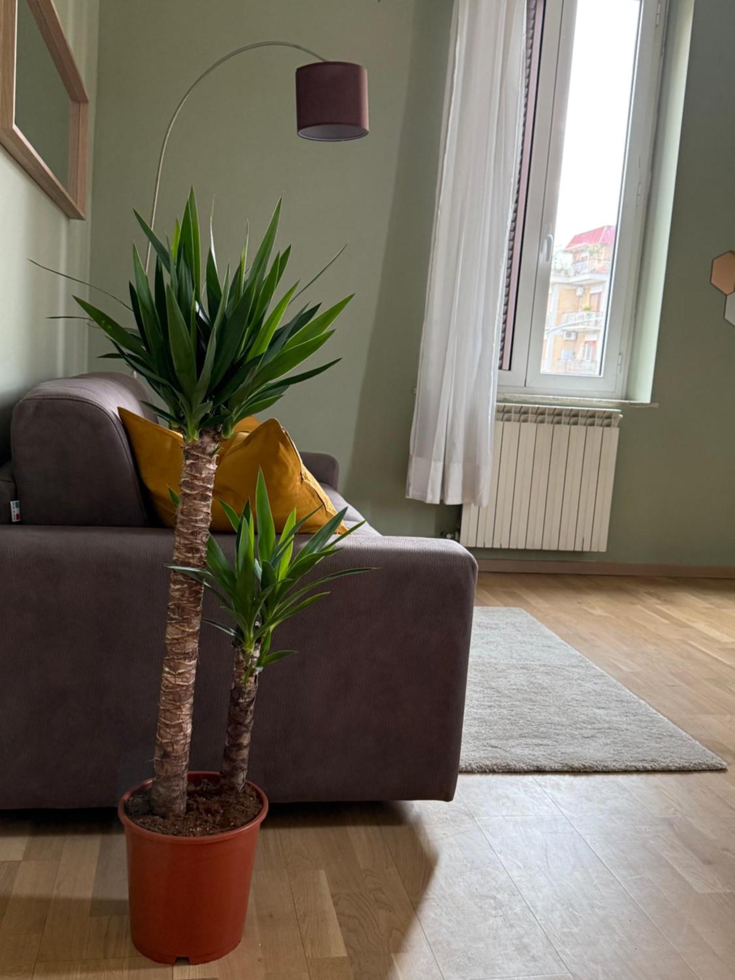 The Beauty House Roma Villa Exteriör bild